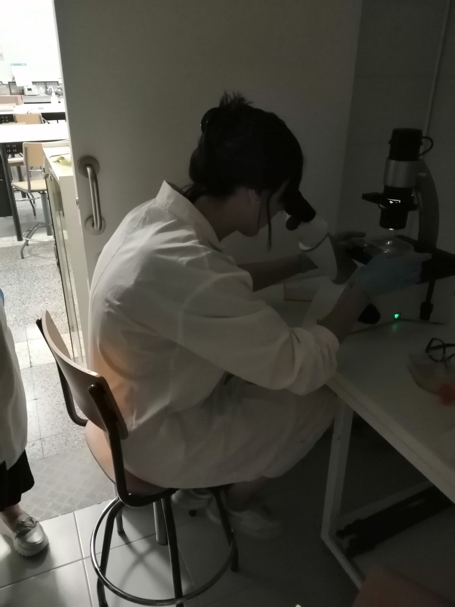 IES_POLI's tweet photo. Docentes de la Familia Profesional de Química participan en una estancia formativa sobre cultivos celulares en Ourense
https://t.co/W5H0MYFrnc https://t.co/ECh69vAACt