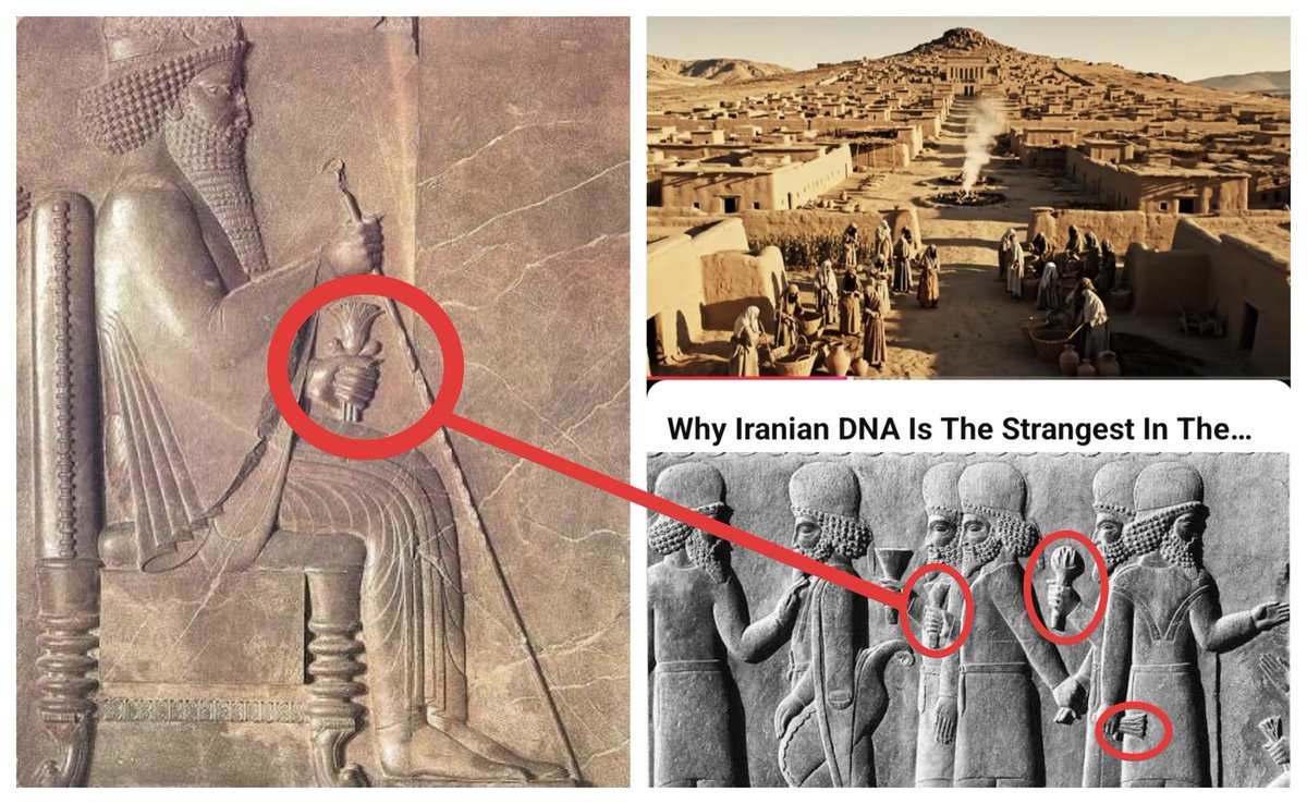 JamesDean tweet media