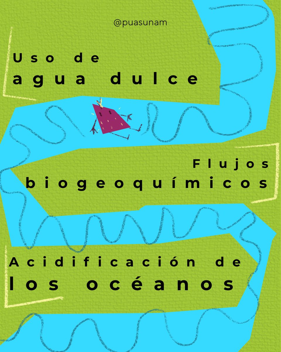 Alimentación Sostenible UNAM tweet media