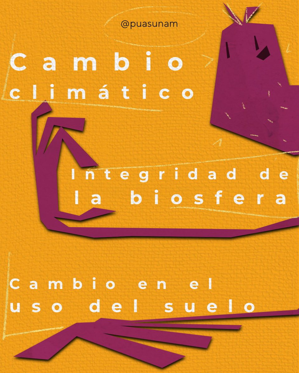 Alimentación Sostenible UNAM tweet media