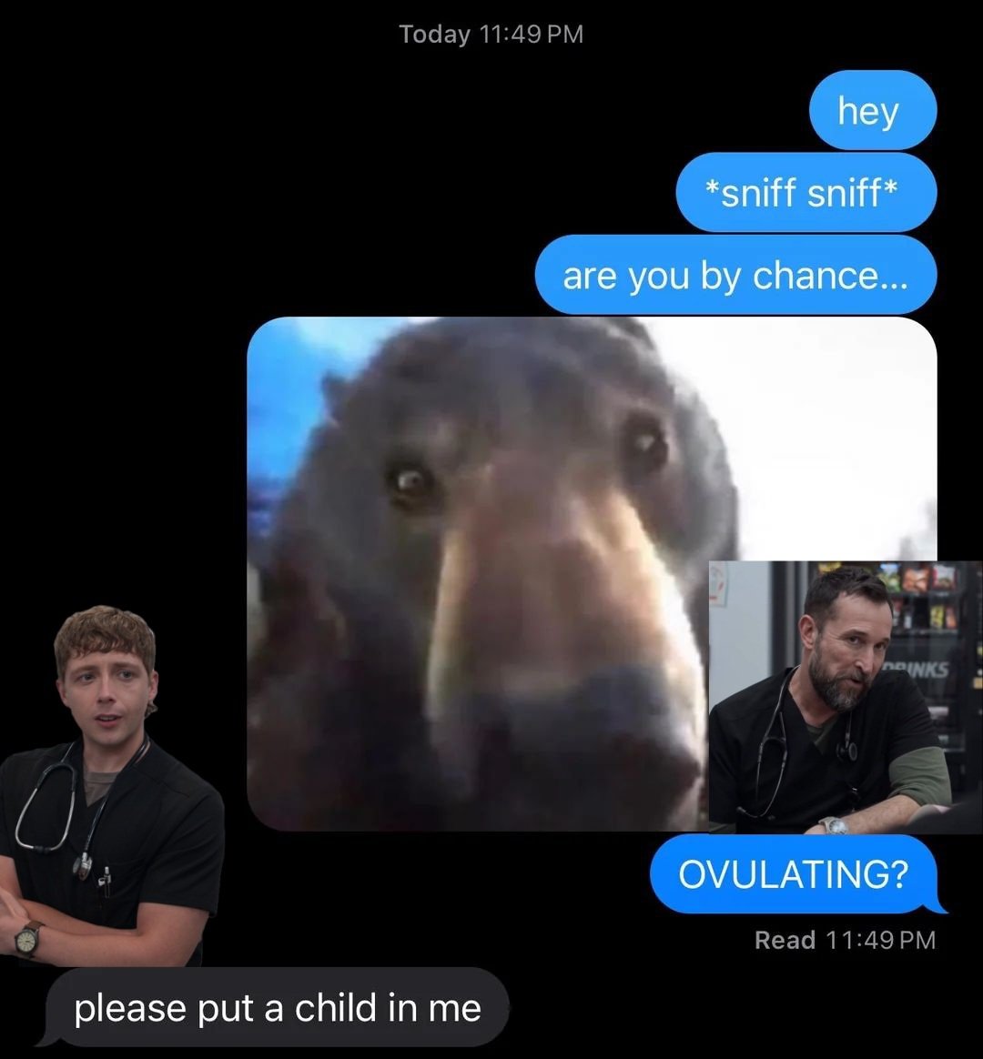 kishumi 🐇 tweet media