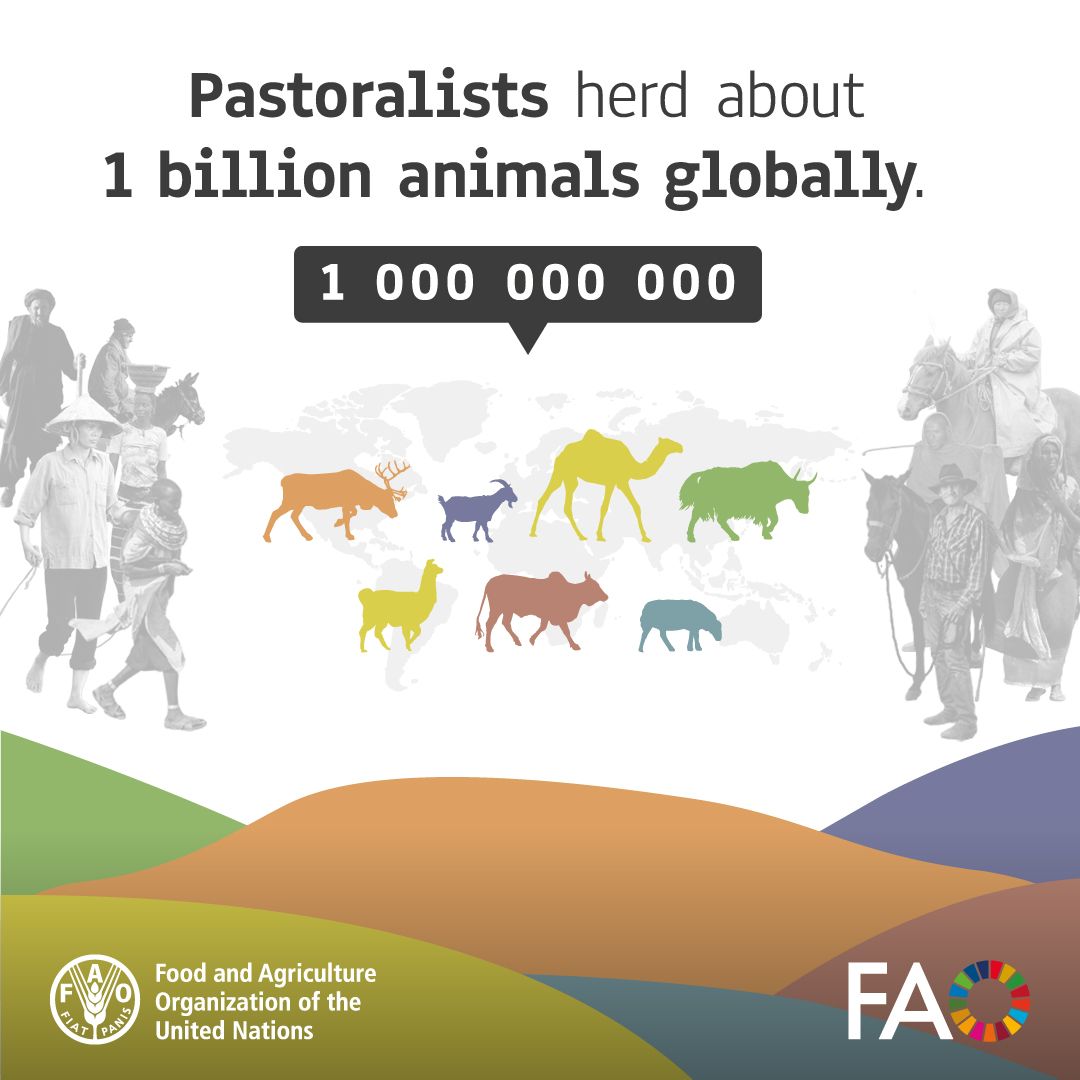 Food and Agriculture Organization tweet media