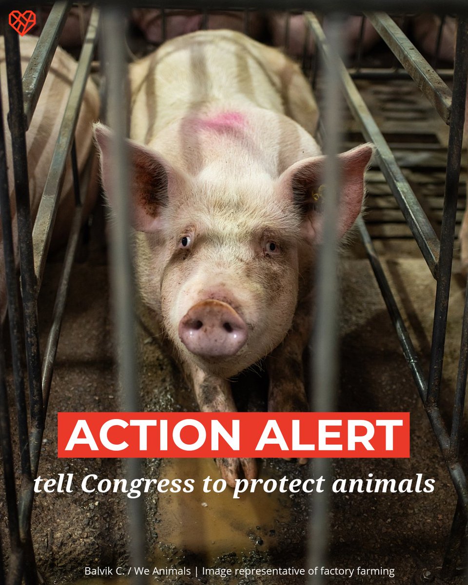 The Humane League tweet media