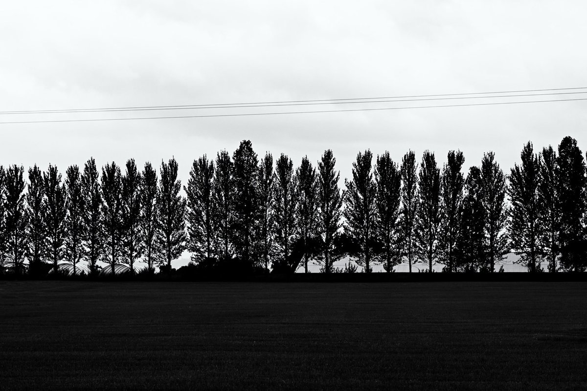 Avantologist's tweet image. line
#trees #nature #bnw #monochrome #atmosphere