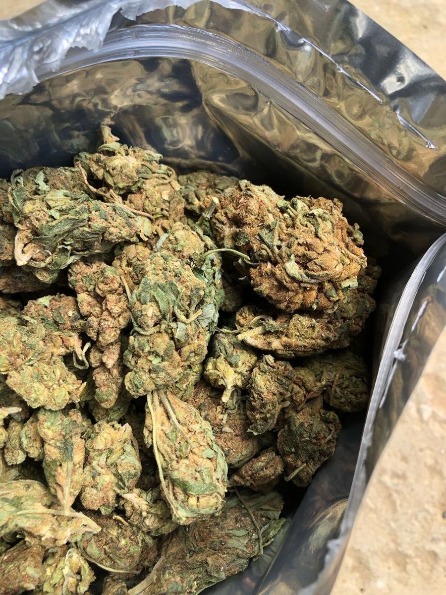 VenomDealerr's tweet image. Bom dia família, Lojinha a todo vapor 🏴

🚨 Todo o cardápio na parte de Flores ainda está com 30% de desconto na maioria das genéticas! ( Até final de estoque)

Pronta Entrega SP ✅
Envios fora de SP ✅

🔞 Cardápio aqui :  wa.me/message/NKQTSZ…

#maconha #delivery
 #sp