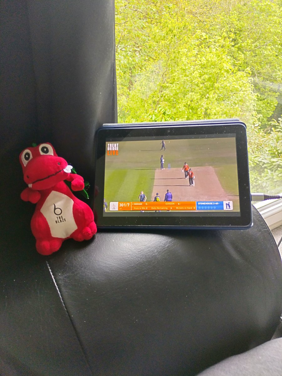 Blaze the dragon can't cope - we couldn't do it again could we?!?!