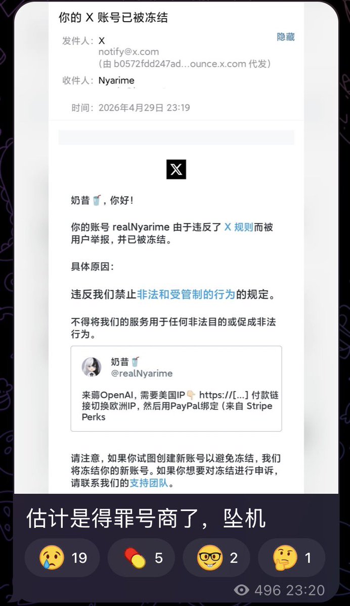 雲鳩 tweet media