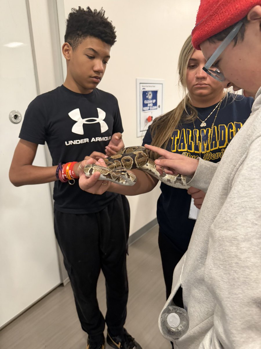 rdavis96's tweet photo. Thank you Adam from Royal Union Pets for bringing the reptiles in today for us! https://t.co/gjjqs17UhS