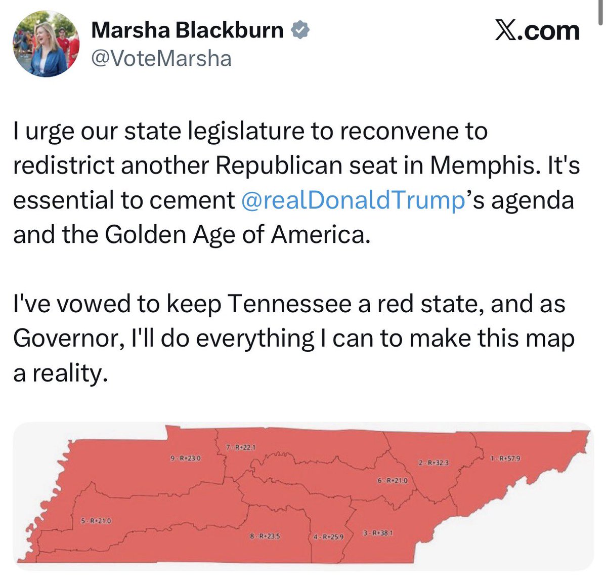 The Tennessee Holler tweet media