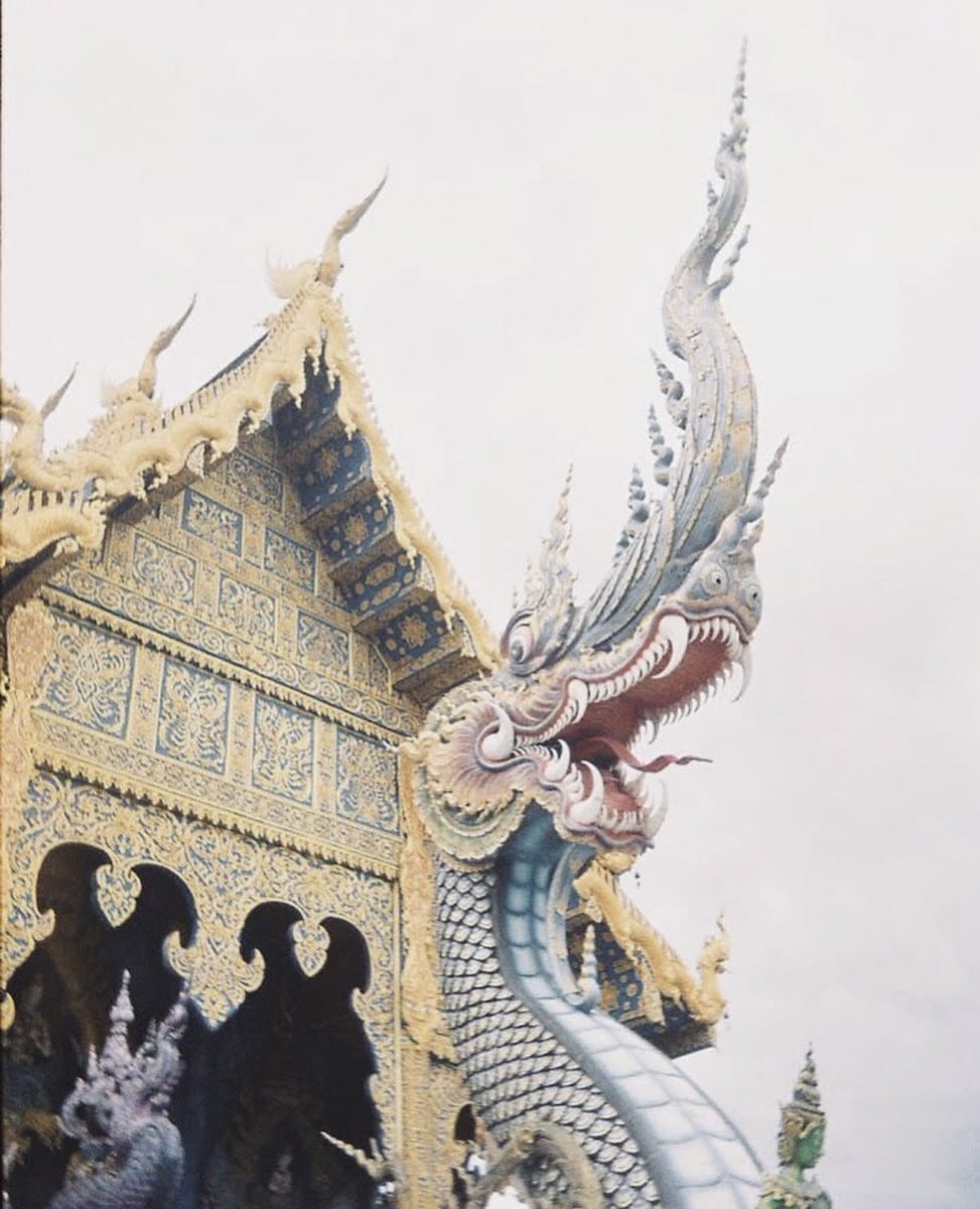 𝑀𝑦 𝐷𝑎𝑖𝑠𝑦🌼 tweet media