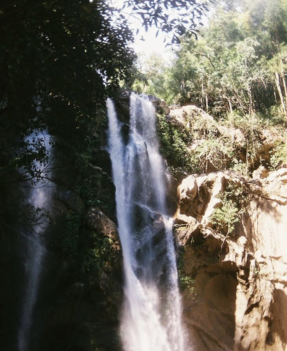 𝑀𝑦 𝐷𝑎𝑖𝑠𝑦🌼 tweet media