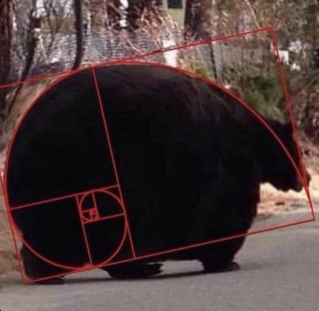 oddpolarb's tweet photo. Can you believe this? I personally cannot https://t.co/D6PsVSsjms