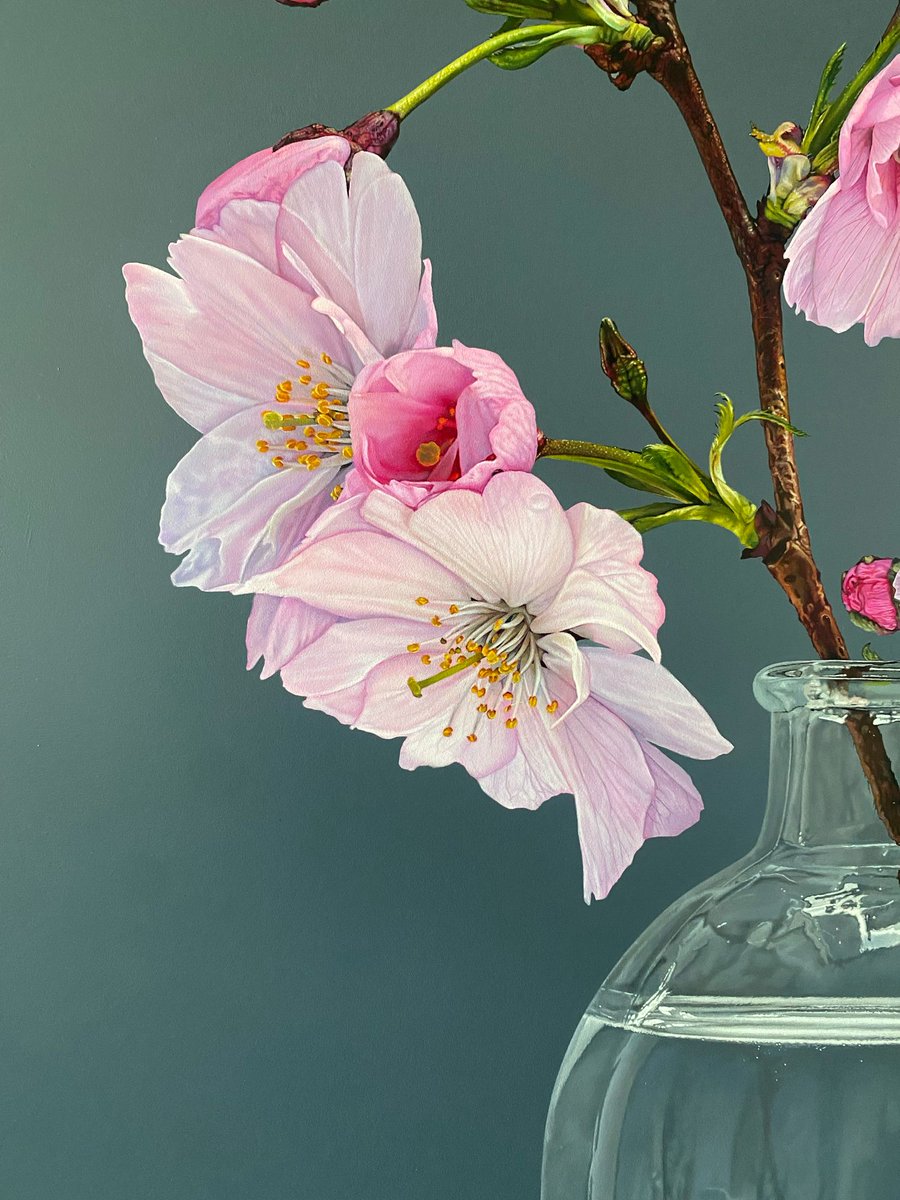 plusonegallery's tweet photo. 'Spring Blossoms #6' oil on canvas, 122 x 106 cm painting by Christopher Green. For any enquiries email info@plusonegallery.com https://t.co/4areF6Jlk8