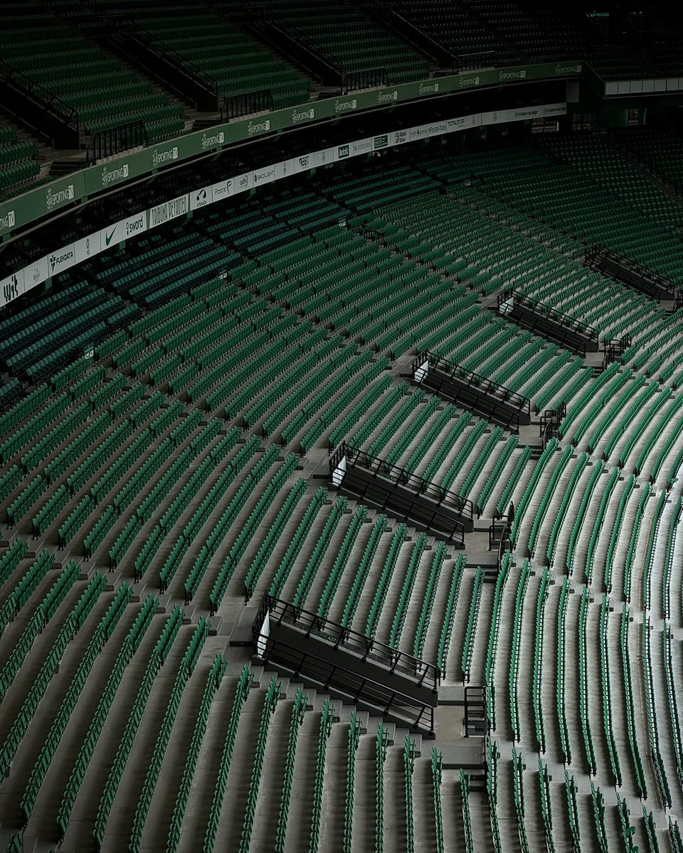 SportingCP_en's tweet photo. Home is where the heart is 💚 #SCPCDT https://t.co/WacrJjtT4T