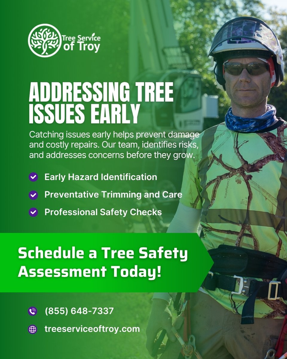 galaxytreemi's tweet image. Catch tree issues early before they turn into costly damage. Tree Service of Troy offers hazard identification, preventative care, and safety checks. Call (855) 648-7337 or visit treeserviceoftroy.com.

#TreeServiceOfTroy #TreeSafety #TreeCare