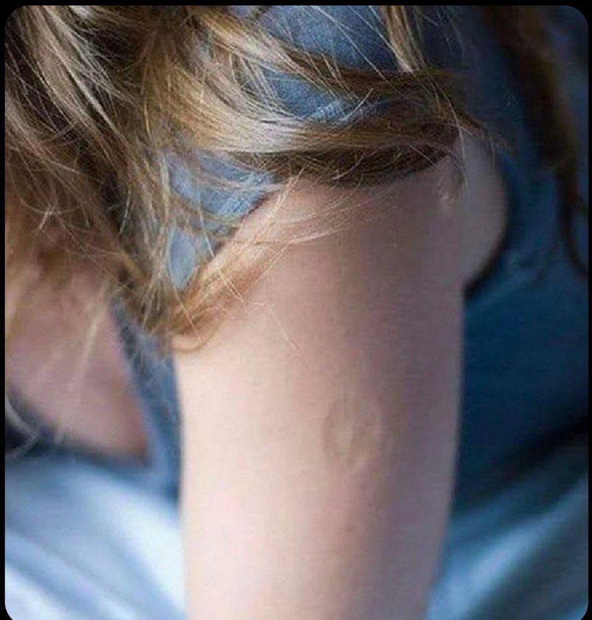 LadyValor tweet media