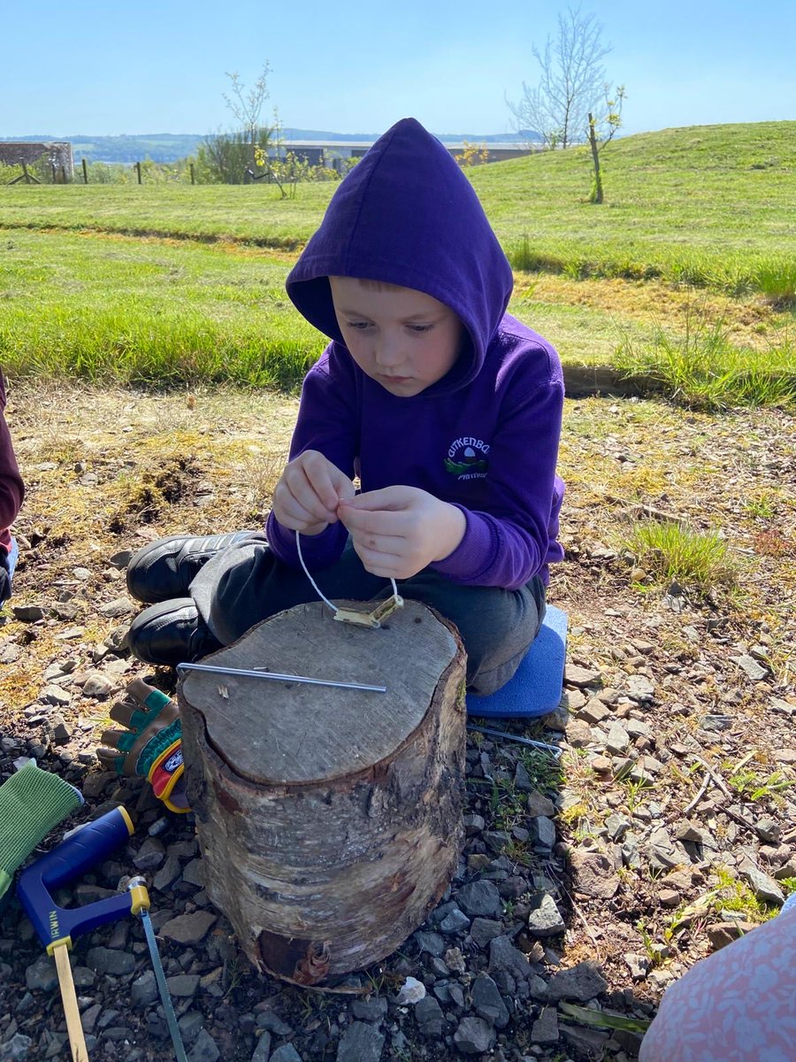 AitkenbarPS's tweet image. This week at our P1/2 Forest school the children were developing their #creativity skills by making jewellery out of the elder wood they collected last week 🤩 👏 They also demonstrated our school value of being #safe when using the saw to cut the wood 👍 #buildingskills