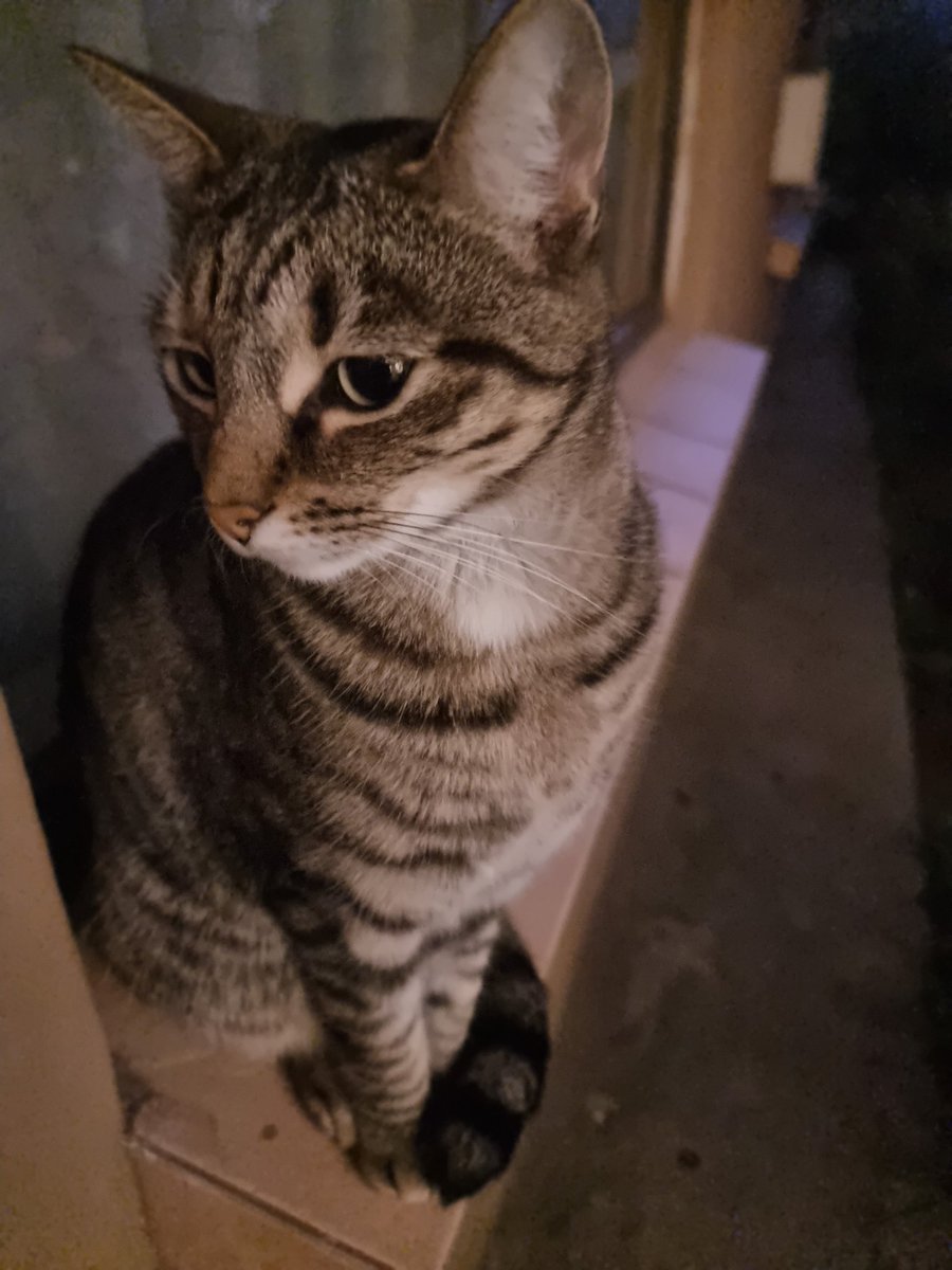 Gerrit van Heerden tweet media