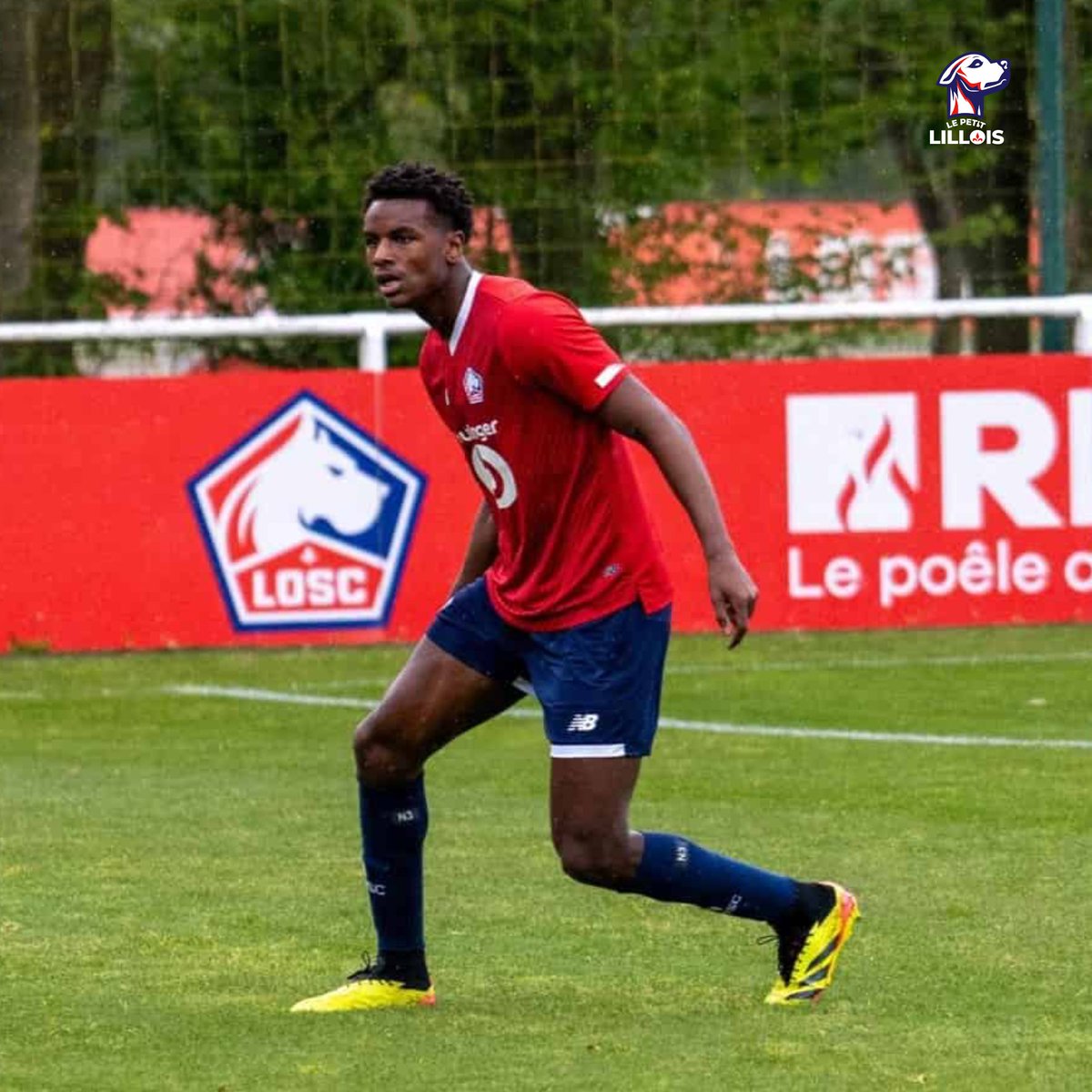 Le Petit Lillois ⚜️ tweet media