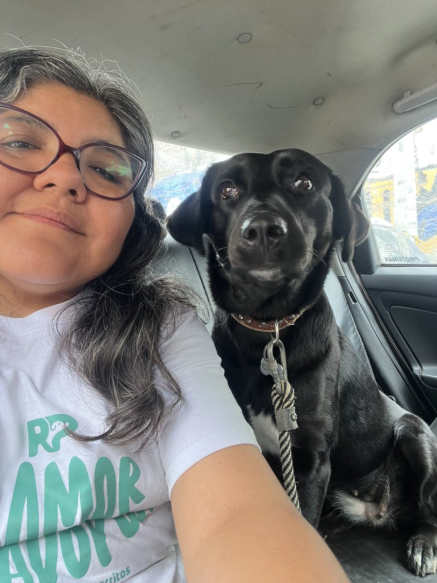 Pao Peralta 🐶 Rescatando Perritos 🇵🇪 tweet media