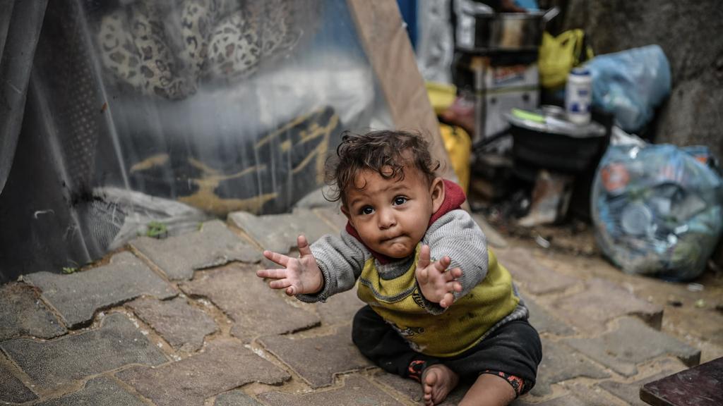 🇵🇰 دانش بن معین 🇸🇦 tweet media