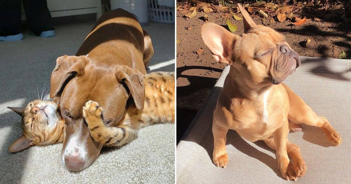 Texts From Last Night tweet media