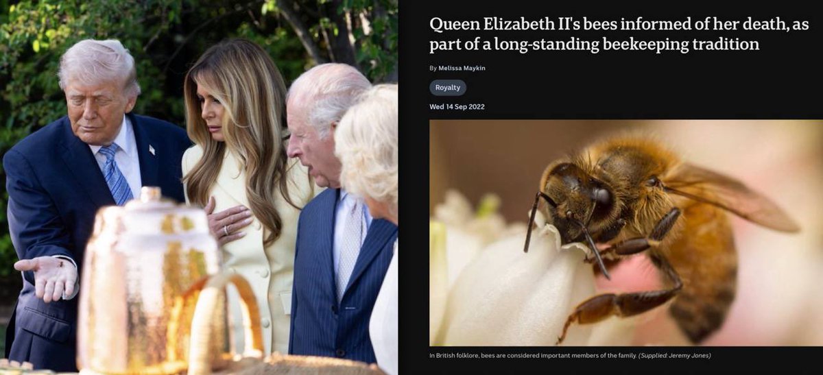 Iam Breitbart tweet media