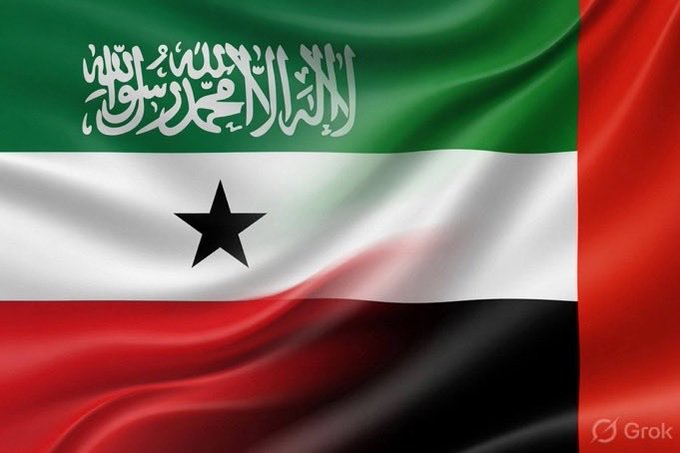 alryamyshyl's tweet photo. UAE  🤟 Somaliland ................! https://t.co/WVcZ5xkvRl