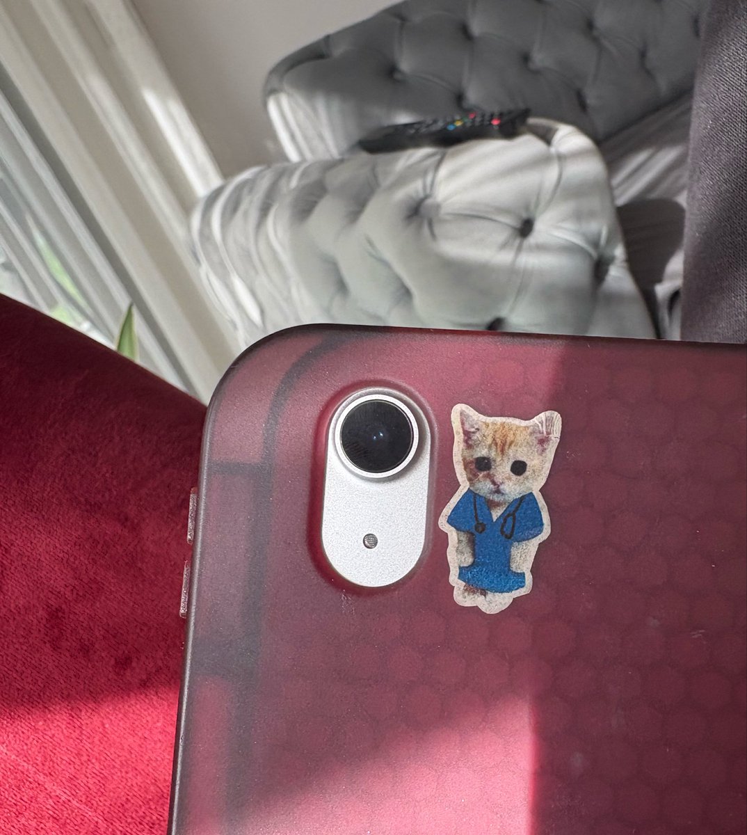 sebekliğekarsiyiö tweet media