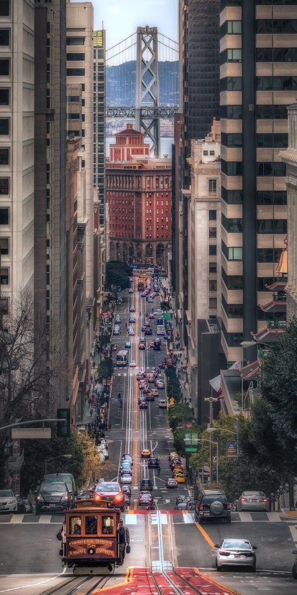 DigitalDaizy's tweet image. City vs Country ☕️✨
#pinterest #travel