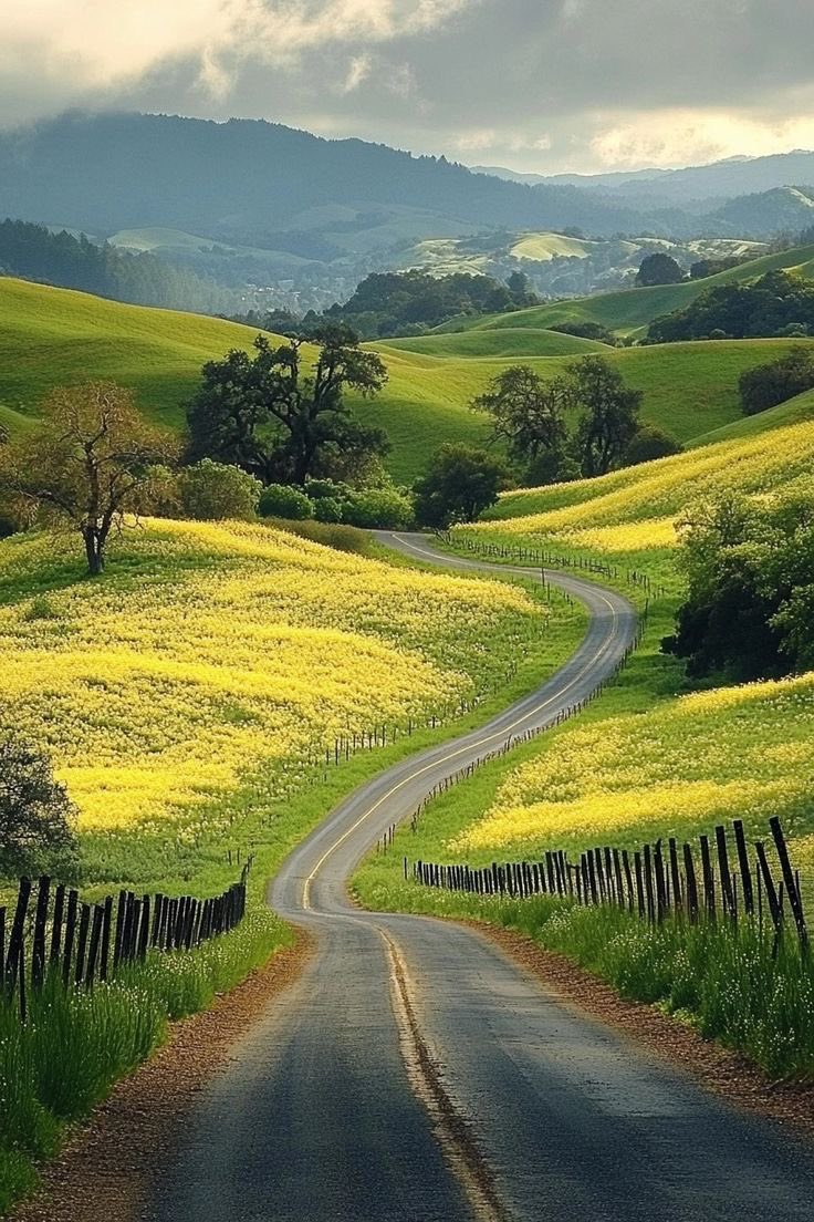 DigitalDaizy's tweet image. City vs Country ☕️✨
#pinterest #travel