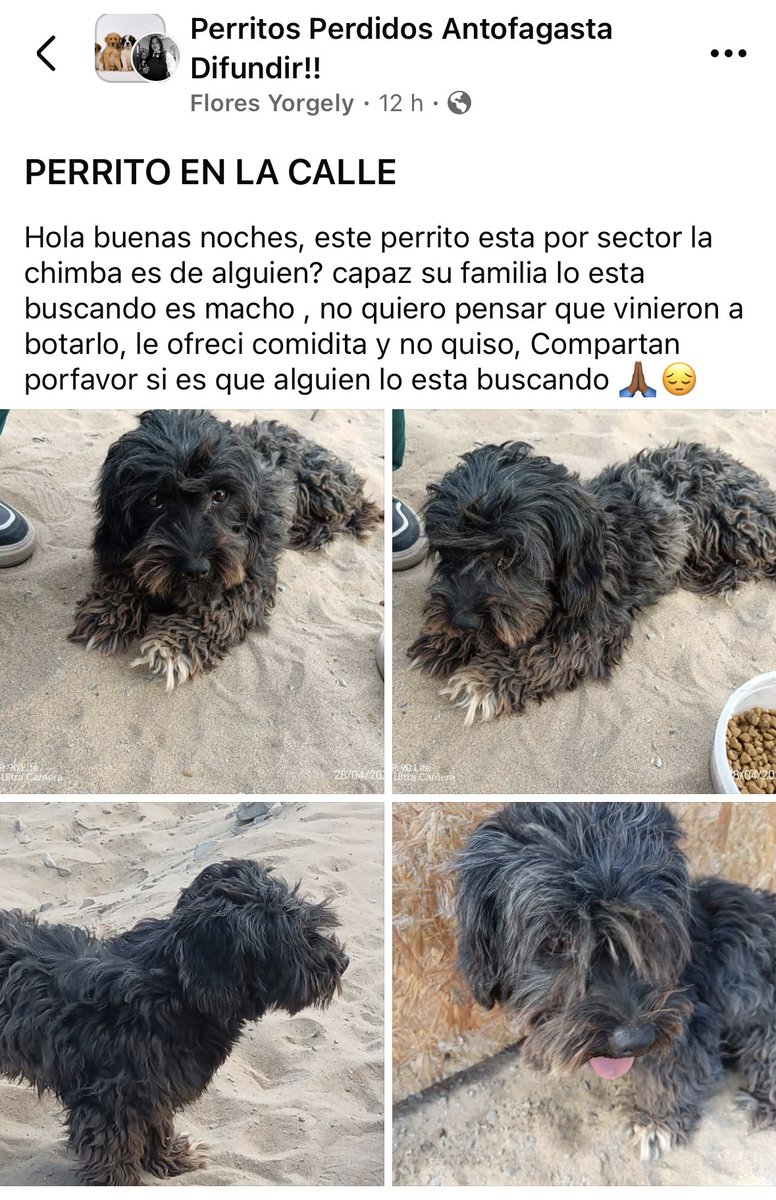 Jordi tweet media