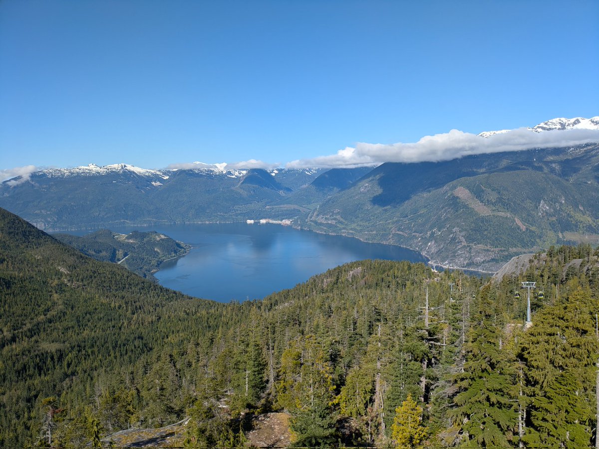 りょこ💙💛🐦@旅先で骨折したけど治療終わりました！ tweet media