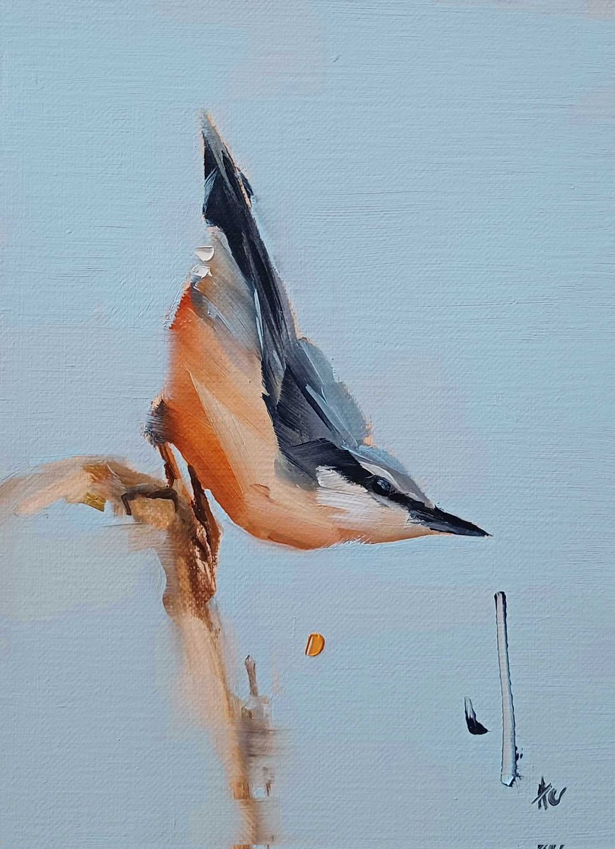 Quite challenging this little fella if made in alla prima technique. 
But I'm quite happy with the result.
Let me know what you think ⤵️😍

✅️ Find my Available Exclusive Paintings on my personal website ➡️ Link in BIO 

#oilpainting #art  #painting #WildLifeLovers #birdlovers