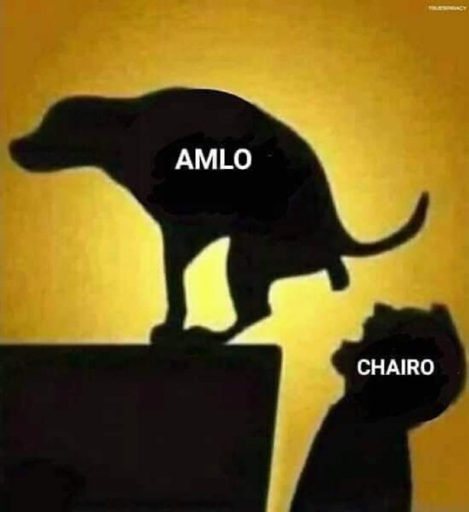 Javier Ramos tweet media