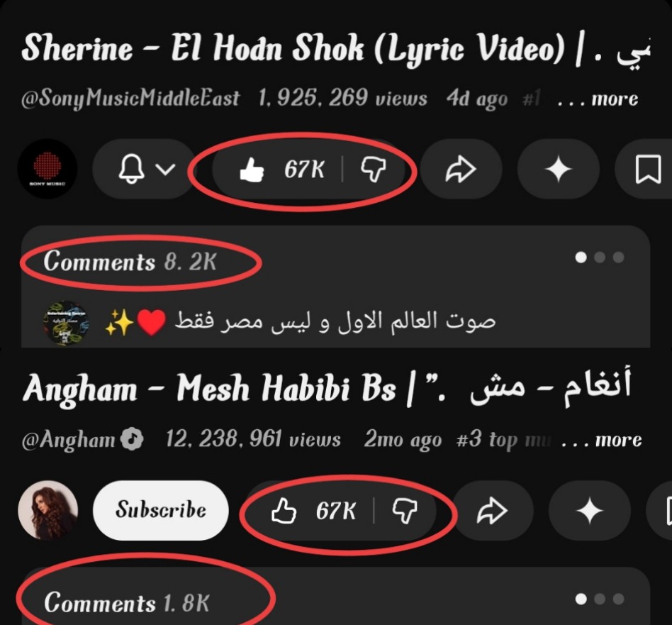 Safymohame's tweet photo. النجاح الحقيقي اللي مش محتاج إعلانات ممولة وشراء مشاهدات ✨ https://t.co/aJzdFpcKlC