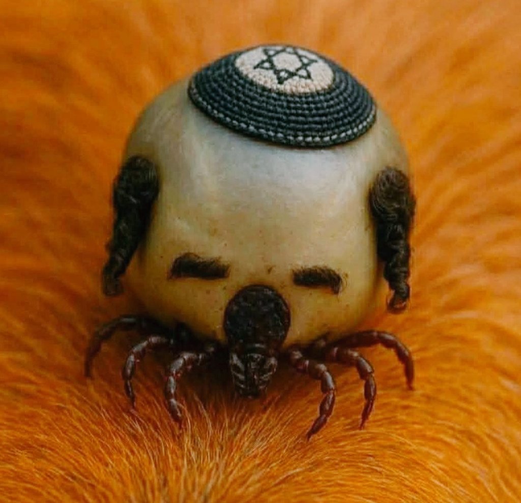 Harbinger tweet media