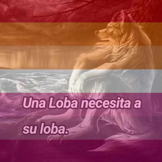 mavie jurídico dd ⚢♡̷ tweet media