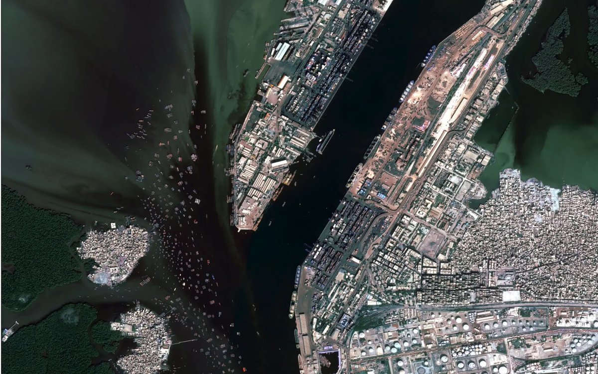 Tactical Tribune tweet media