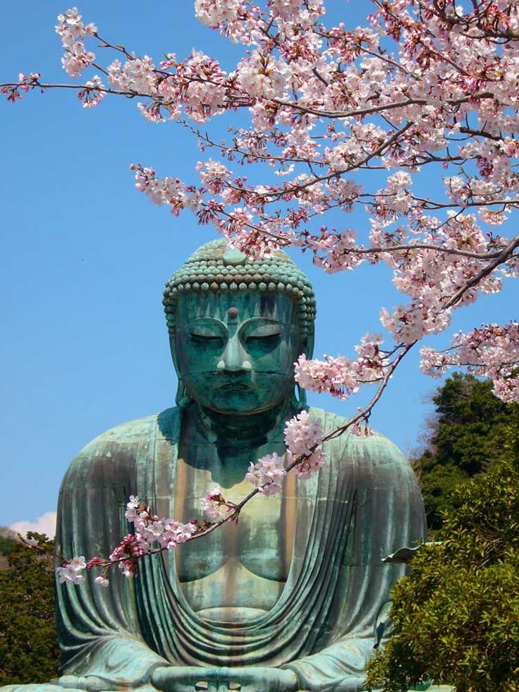 VeraCausa9's tweet photo. The Great Buddha 
Dozing, dozing, 
All spring day.

-Shiki https://t.co/qju2HaHYdH