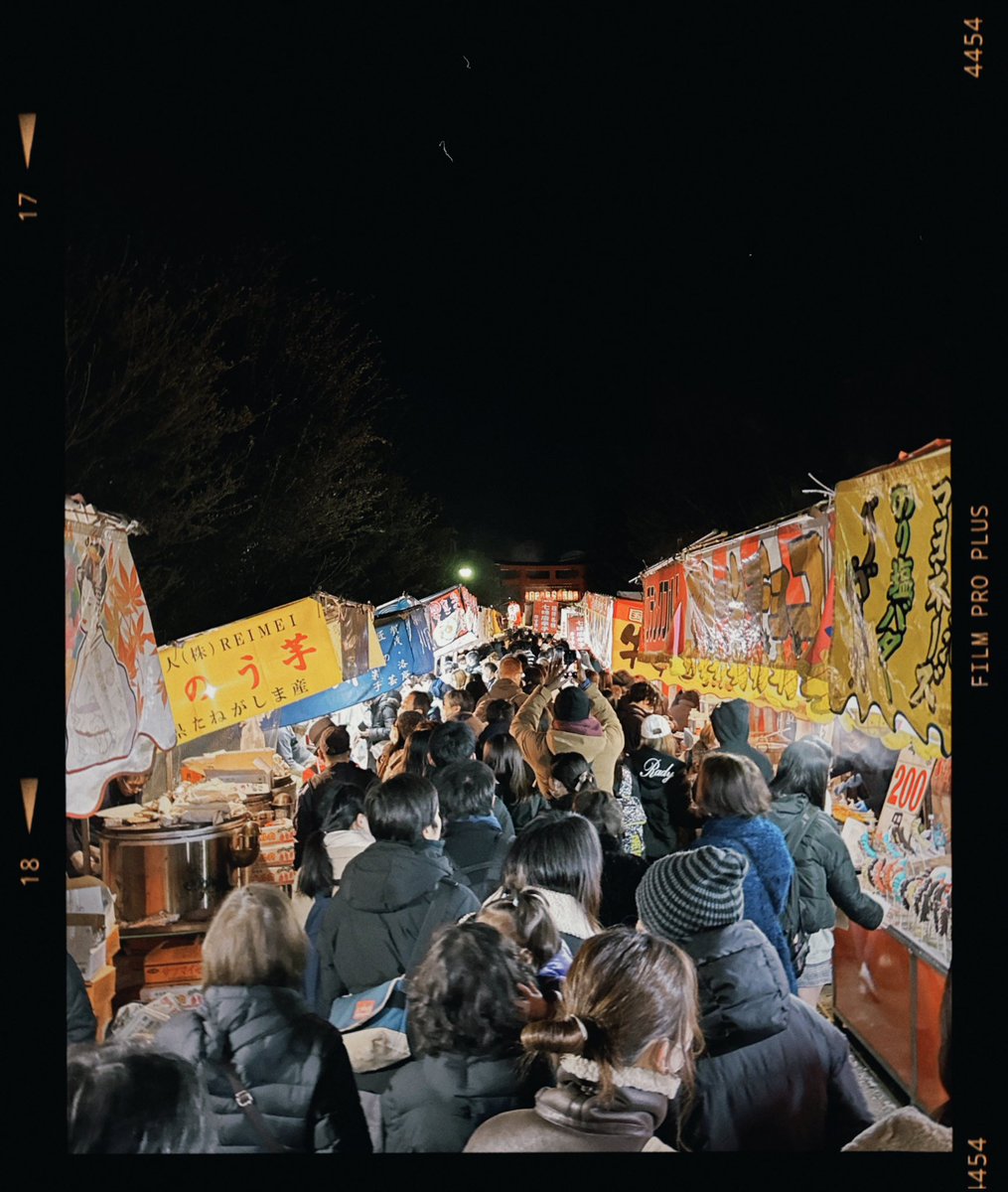 セメントの犬 tweet media