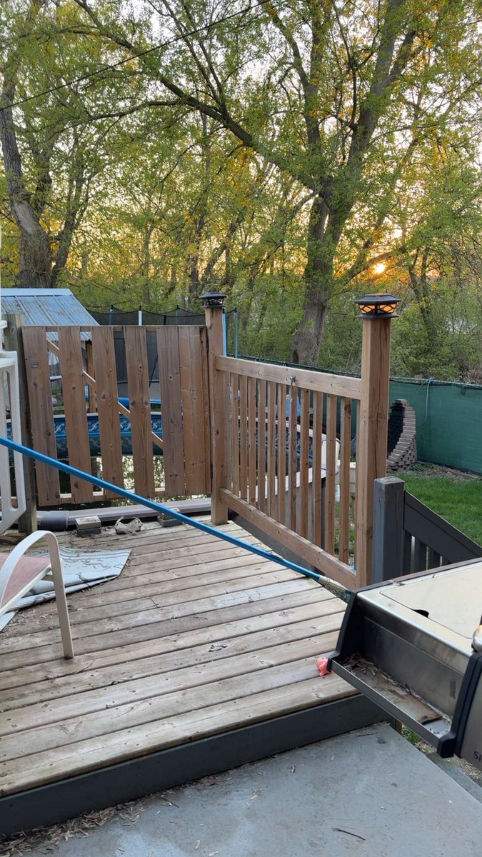 star gazed tweet media