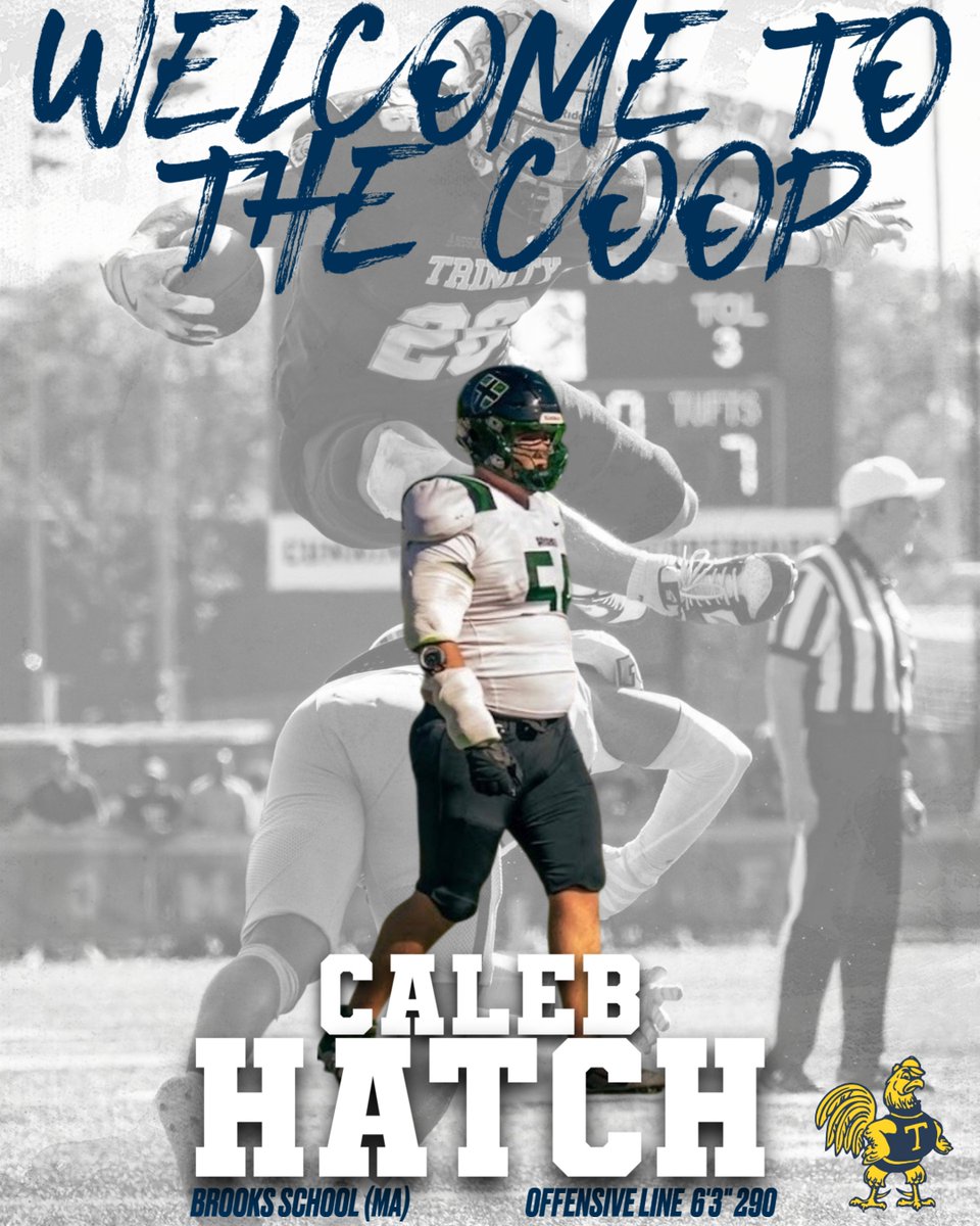 TrinCollFB's tweet photo. Welcome to The Coop,

🐔Caleb Hatch
🏈Offensive Line
🏫Brooks School, MA
🎬https://t.co/FtOTkIvAQM

#RollBants #TrinColl https://t.co/vHIK1eFgdl