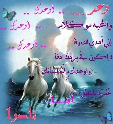 ابوطلال - ناصر tweet media