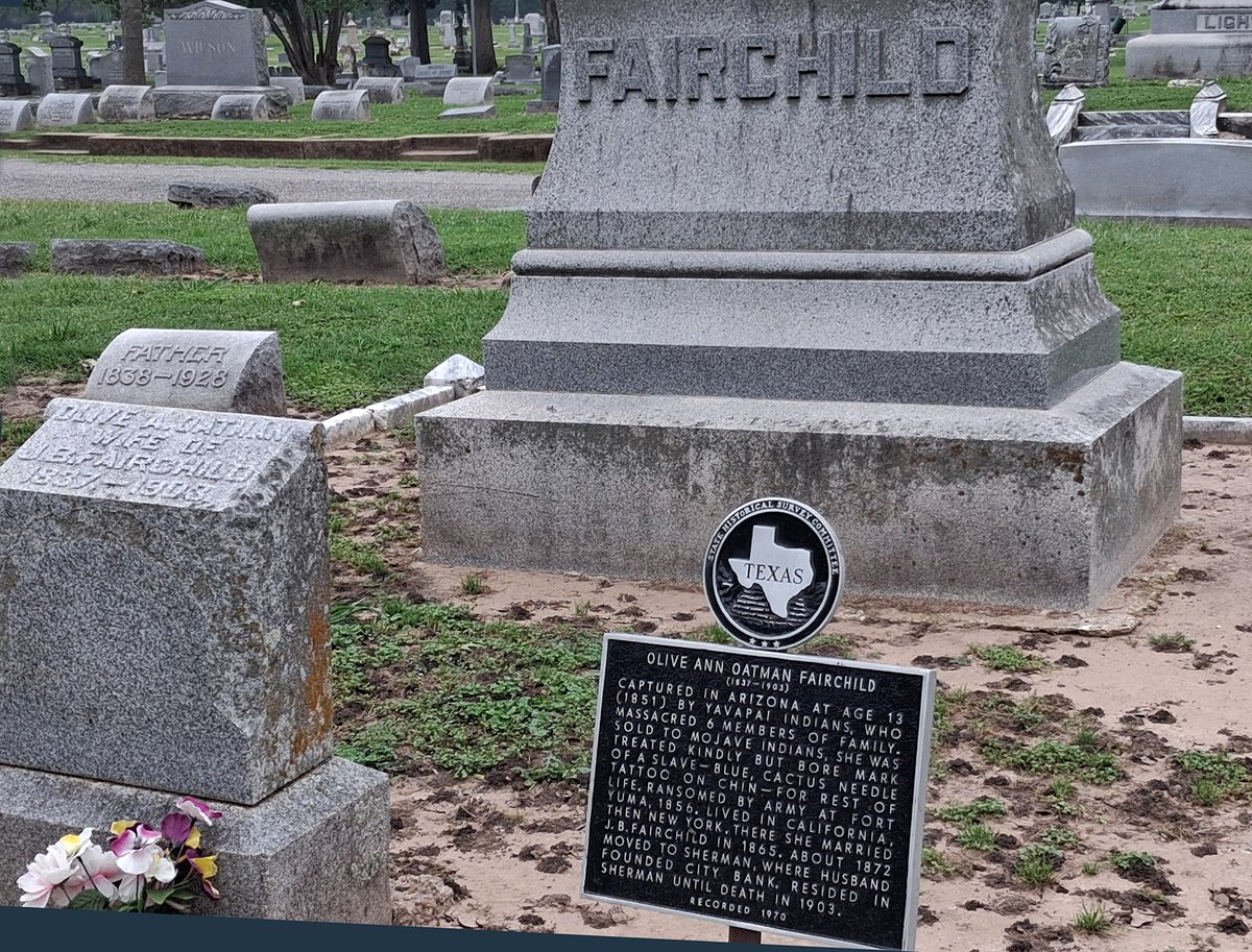 Traces of Texas tweet media