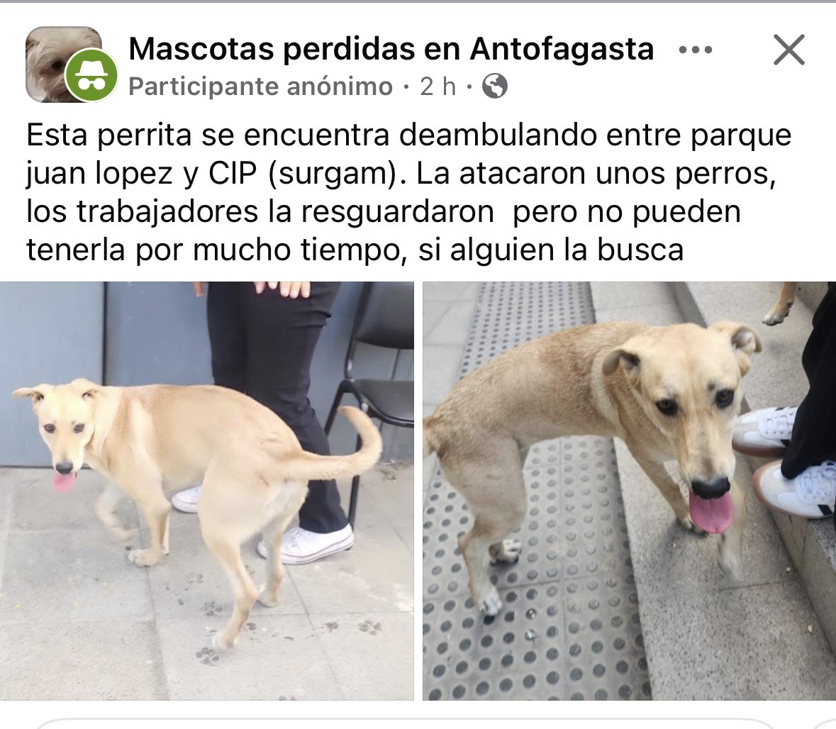 Jordi tweet media