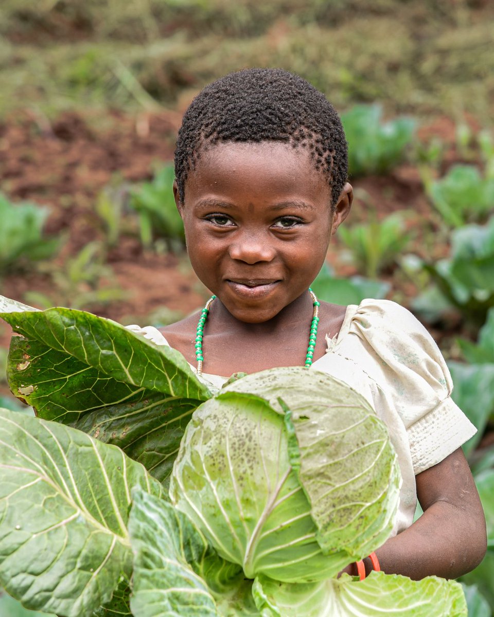 WorldVisionUSA's tweet image. This is what growth looks like. Not just in the soil — but in a life.

Because when families have the tools, training, and support to grow their own food, everything begins to change. 

Health, stability, opportunity are within reach.

#FoodSecurity #SustainableFarming