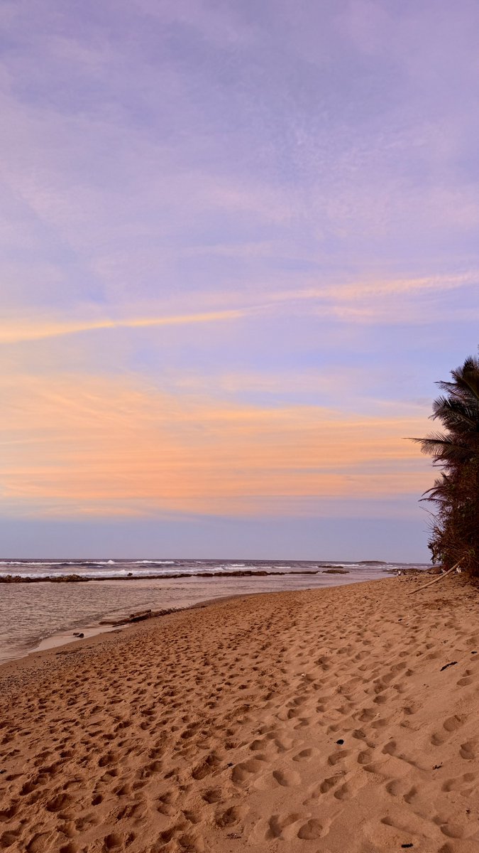 🇵🇷🇪🇨 tweet media