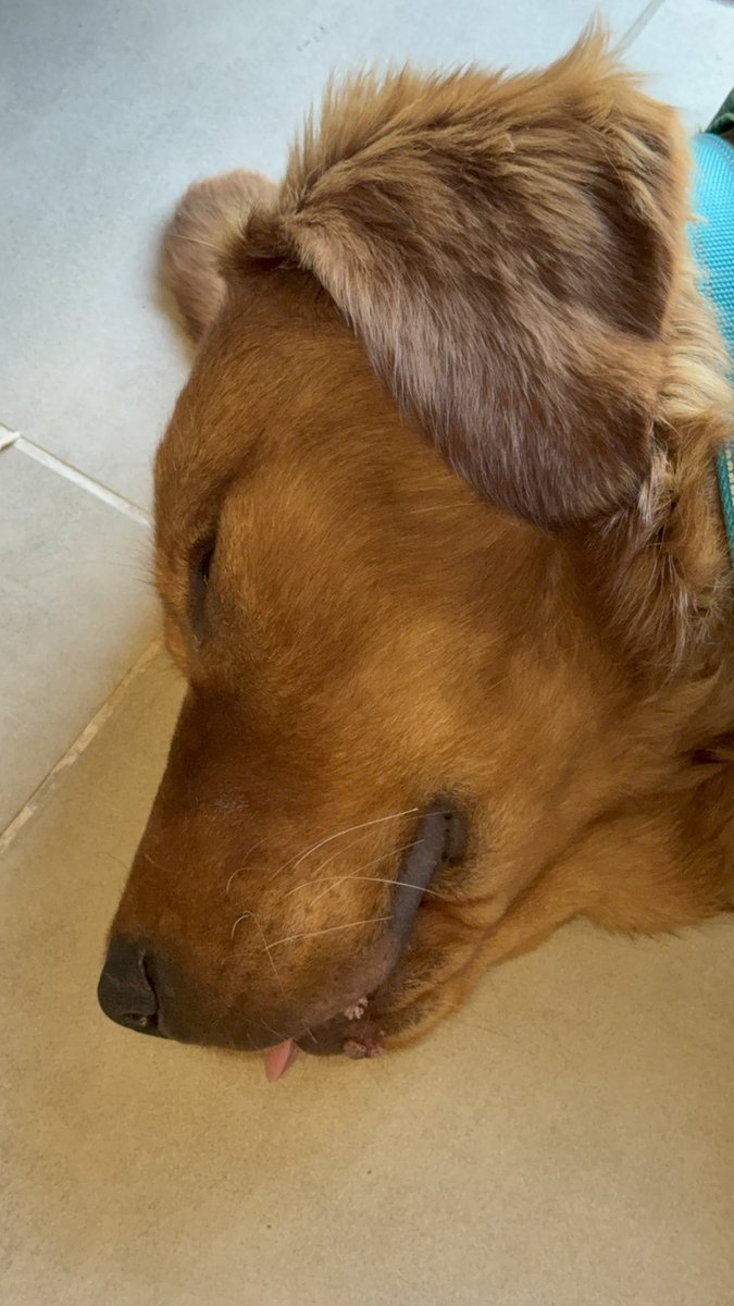 Paz Lejfer || Recruitment Specialist 👩‍💻 tweet media