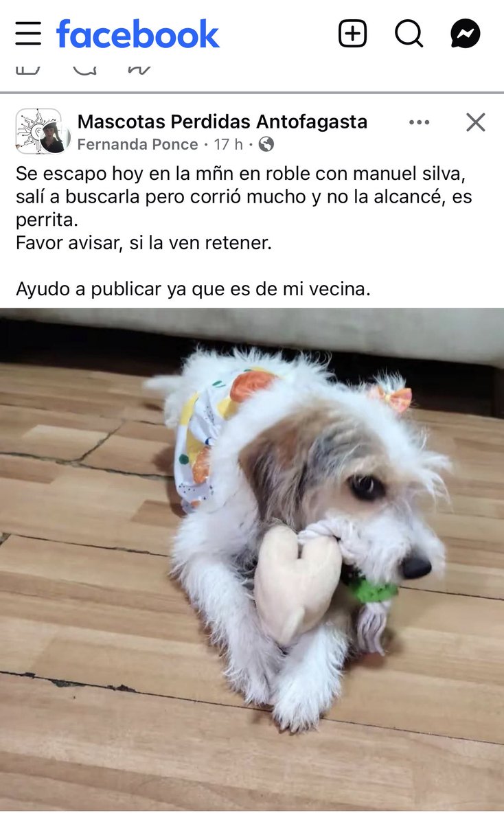 Jordi tweet media